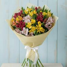 Букет цветов из:  Альстромерии в Бачи-Юрте