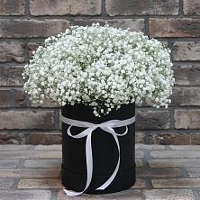 Цветочная композиция из Гипсофила в шляпной коробке в Бачи-Юрте