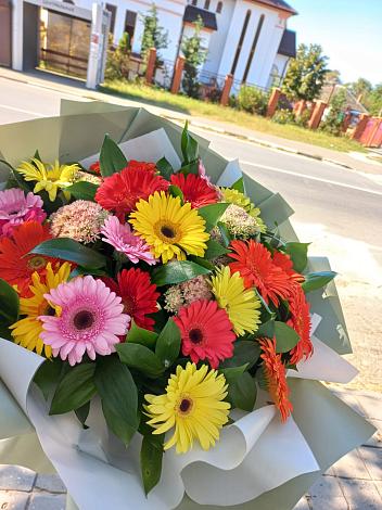 Букет цветов из: Герберы в Бачи-Юрте